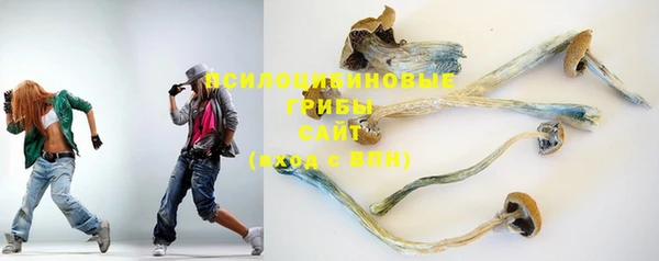 MESCALINE Гусиноозёрск