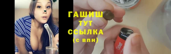эйфоретик Гусь-Хрустальный