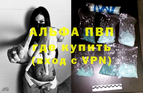 эйфоретик Гусь-Хрустальный