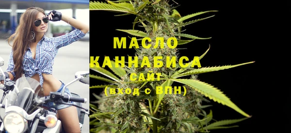 эйфоретик Гусь-Хрустальный