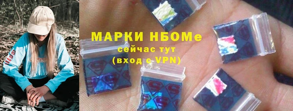 эйфоретик Гусь-Хрустальный