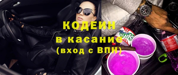 эйфоретик Гусь-Хрустальный