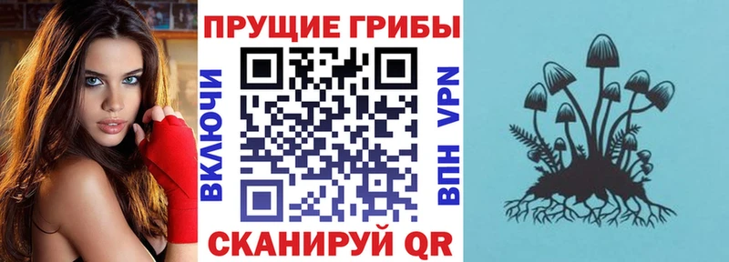 Псилоцибиновые грибы ЛСД  Купить  Похвистнево 